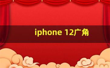 iphone 12广角